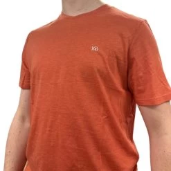 Tentree Men's Embroidered Ten Classic T-Shirt (Terracotta Heather/White)