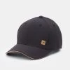 Tentree Cork Icon InMotion Thicket Hat