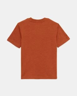 Tentree Kids Artist Series Logo T-Shirt -Tentree Sales Store Brown Recycled Polyester Crew Neck Graphic T Shirt KCU5843 3149 2