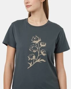 Tentree Cotton Botanical T-Shirt -Tentree Sales Store Green Crew Neck Short Sleeve Graphic T Shirt TCW5512 2820 3