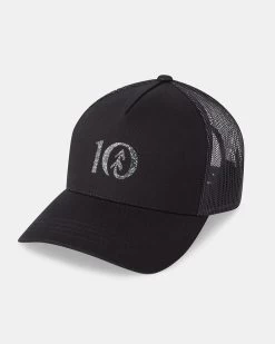 Tentree Recycled Logo Altitude Hat