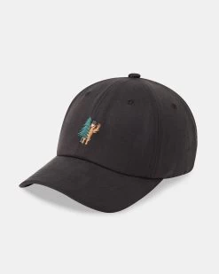 Tentree Tree Wave Sasquatch Tencel Peak Hat