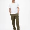 Tentree Hemp Stretch Chino Pant