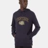 Tentree Collegiate Wolf Hoodie