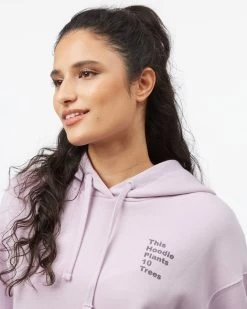 Tentree Eco Facts Oversized Hoodie -Tentree Sales Store TCW4872 2358 30865