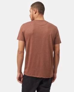 Tentree Support Your Local Planet T-Shirt -Tentree Sales Store brown graphic tshirt TCM4616 2278 2