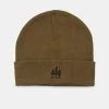 Tentree Golden Forest Kurt Beanie