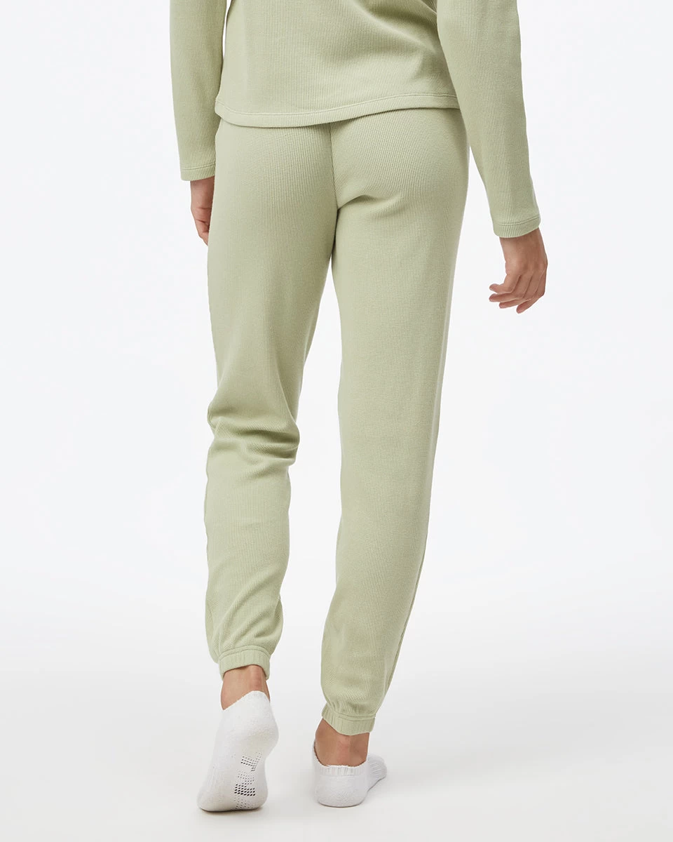 Tentree TreeWaffle Fulton Jogger 3 Tentree TreeWaffle Fulton Jogger - Image 3