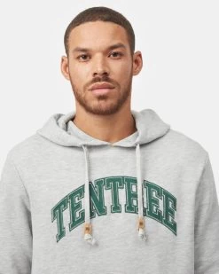 Tentree Arch Hoodie -Tentree Sales Store grey graphic hoodie TCM4621 0346 3
