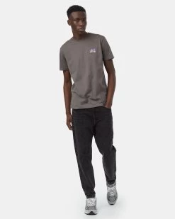 Tentree Natural Energy Flow T-Shirt -Tentree Sales Store grey graphic tee TCM5081 2498 2