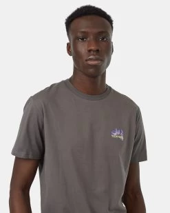 Tentree Natural Energy Flow T-Shirt -Tentree Sales Store grey graphic tee TCM5081 2498 4