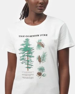 Tentree Common Pine T-Shirt -Tentree Sales Store white graphic tree tee TCW4543 2036 3